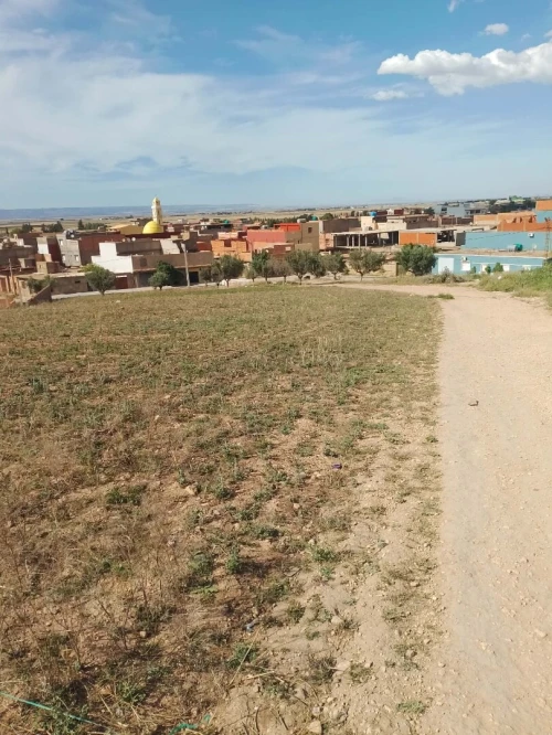Vente Terrain Aïn Témouchent Oued sabah