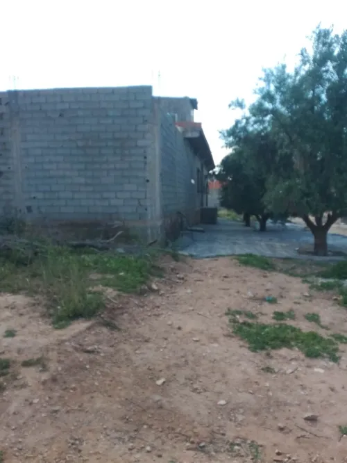 Vente Terrain Aïn Témouchent Oued sabah