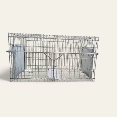 Cage Trappe Chat
