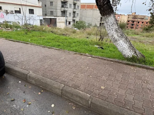 Vente Terrain Alger Beni messous