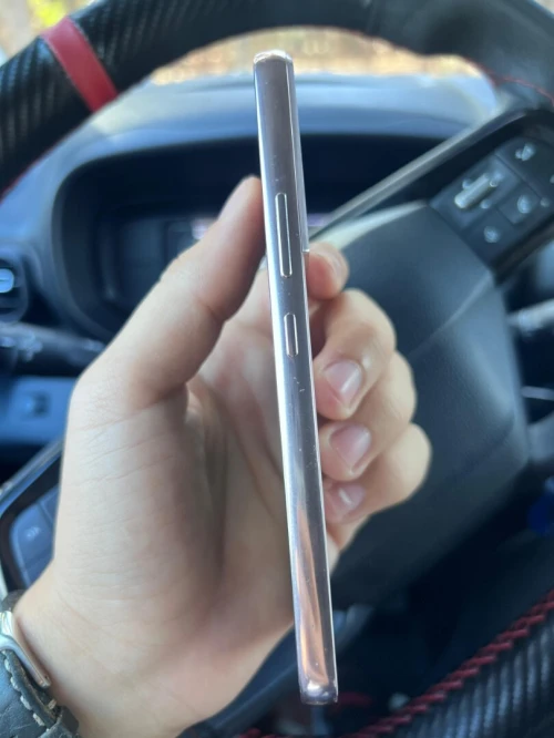 Samsung S22 2 puce