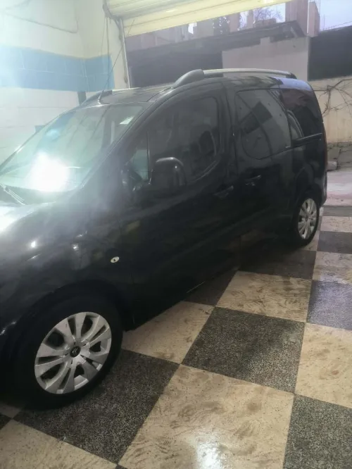 Citroen Berlingo Multispace 2010 Berlingo Multispace