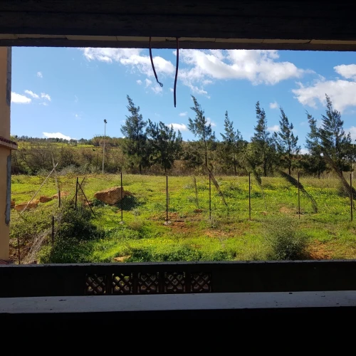 Vente Villa Tipaza Sidi amar