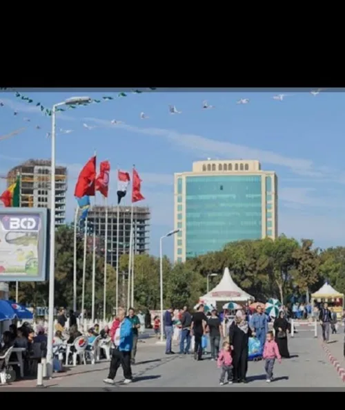 Vente Terrain Alger Mohammadia