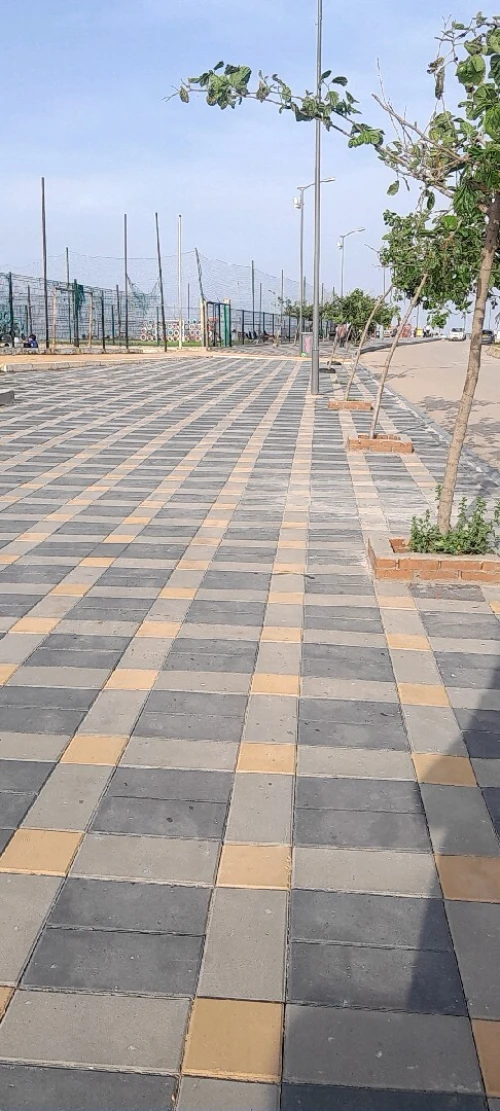 Vente Villa Alger El marsa