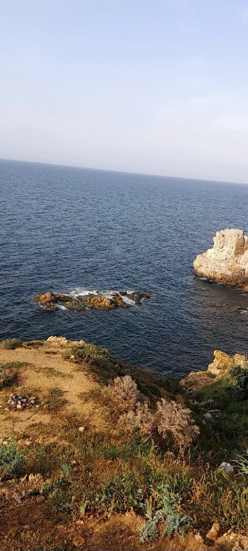 Vente Villa Alger El marsa