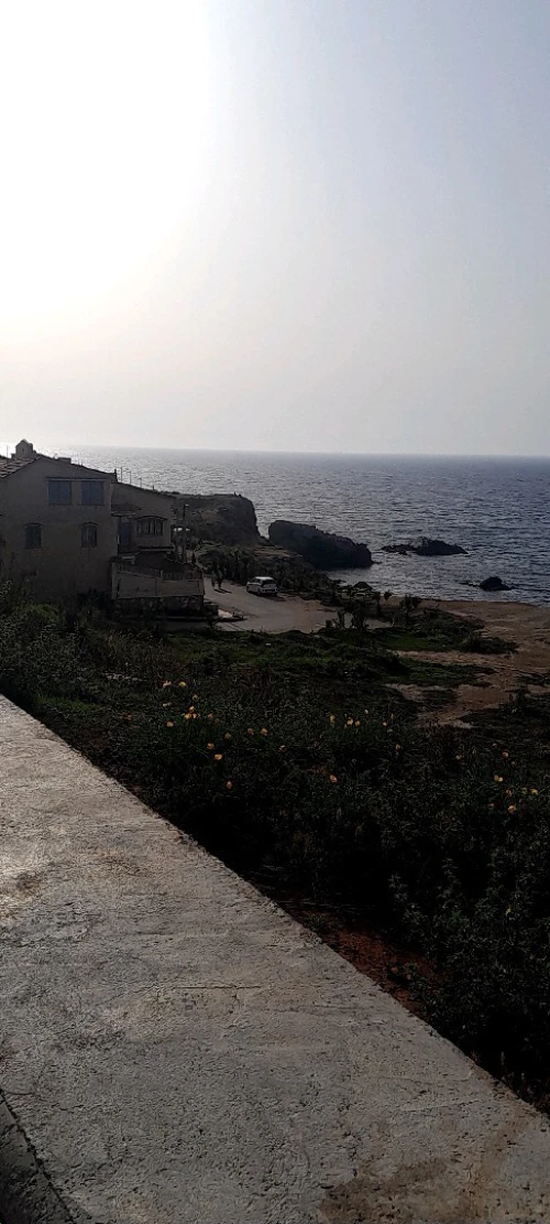 Vente Villa Alger El marsa