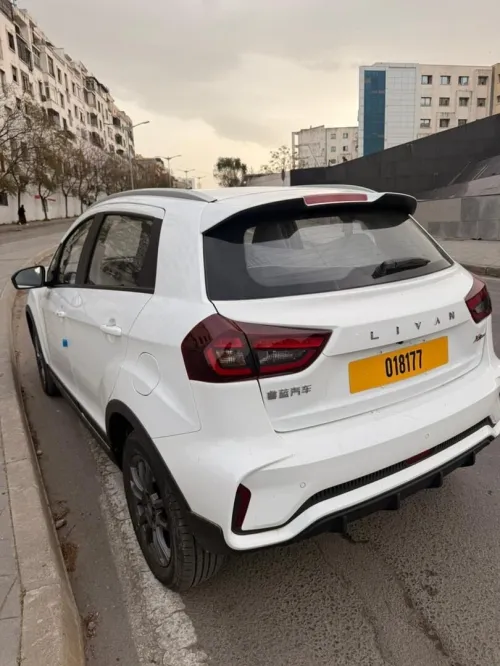 Livan X3 Pro  2026 Tout options
