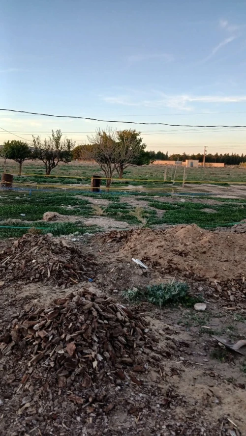 Vente Terrain Agricole Djelfa Djelfa