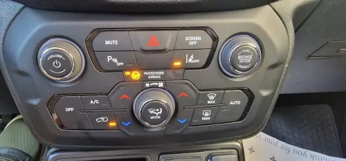 Jeep Renegade 2022 Eagle night