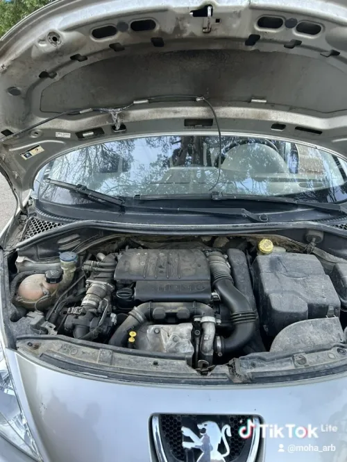 Peugeot 207 2007 207