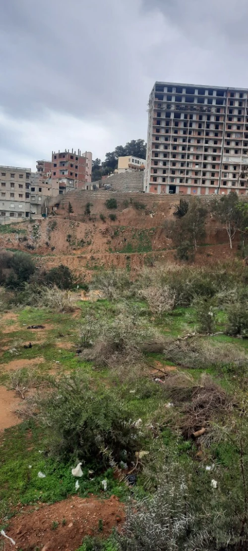 Vente Terrain Alger Rais hamidou