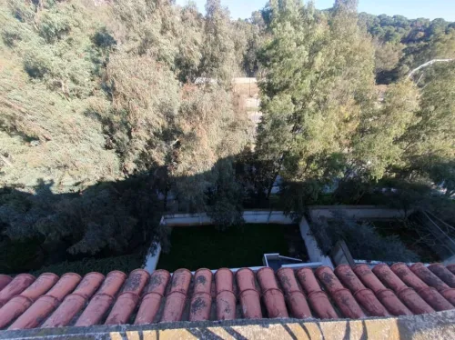 Vente Villa Alger Dely brahim