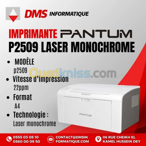 Imprimante PANTUM P2509 laser monochrome