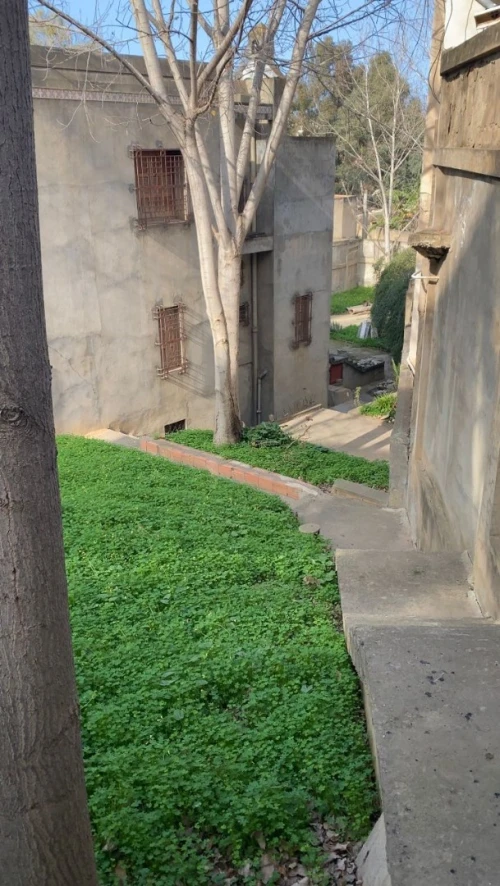 Vente Terrain Alger Cheraga