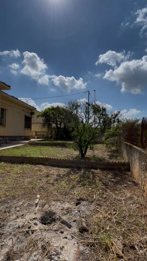 Vente Terrain Alger Staoueli