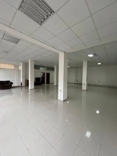 Location Local Alger Alger centre