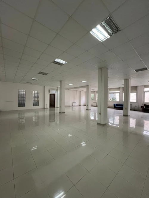 Location Local Alger Alger centre