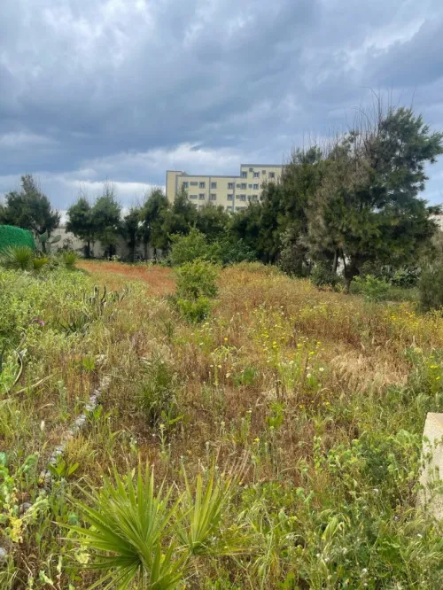 Vente Terrain Alger Staoueli