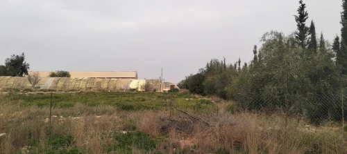 Vente Terrain Agricole Saïda Youb