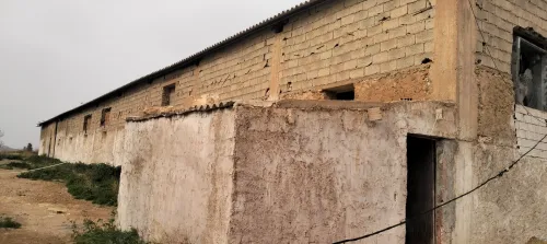 Vente Terrain Agricole Saïda Youb