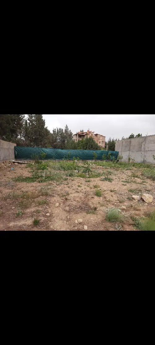 Vente Terrain Batna Fesdis