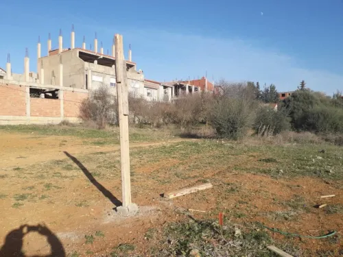 Vente Terrain Alger Douera
