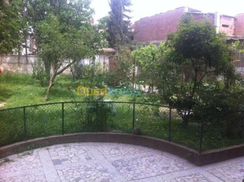 Vente Villa Alger Alger centre