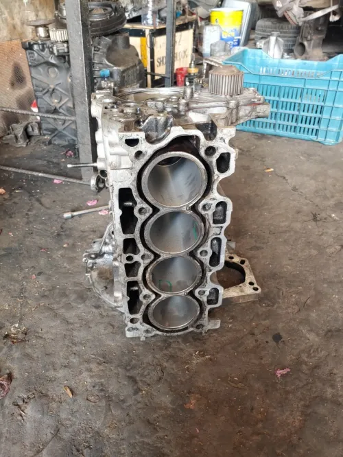 Block moter 1.6 hdi