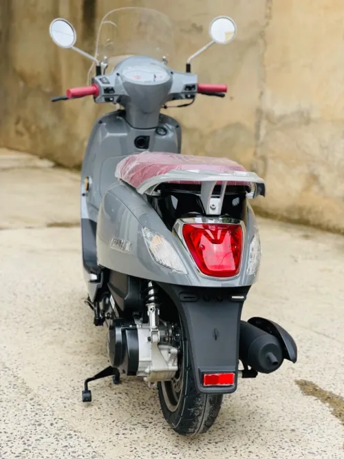 Sym Fiddel 3 2025