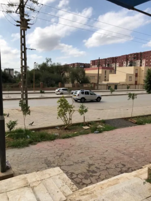 Location Local Blida Bouinan