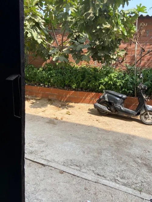 Vente Appartement F4 Tipaza Fouka