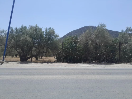 Vente Terrain Béjaïa Akbou