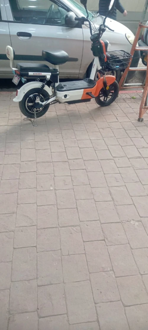 scoozer scoozer 2025