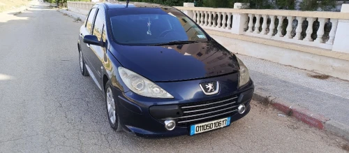 Peugeot 307 2006 Oxygo