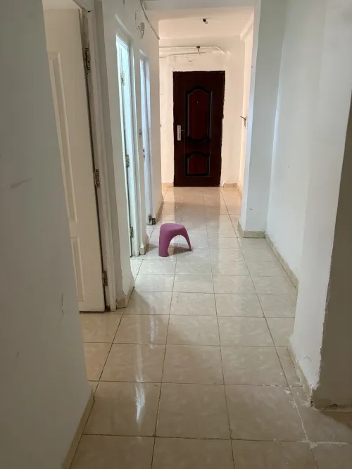 Location Appartement F3 Alger Saoula