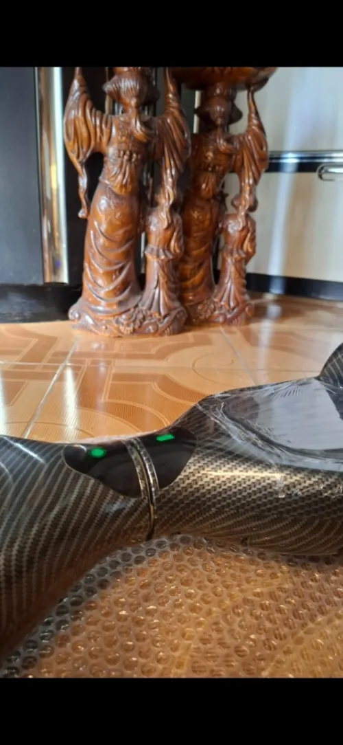 Hoverboard electrique smart balance 