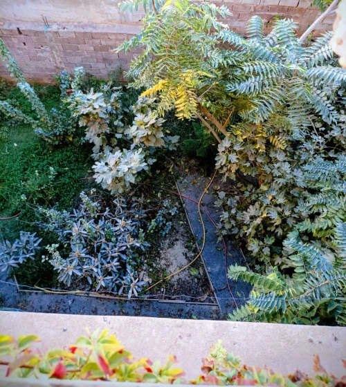Location Appartement F9 Oran Oran