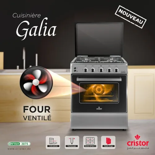 CUISINIÈRE CRISTOR GALIA 4 FEUX INOX AVEC FOUR VENTILÉ GAZ/GAZ 54L / CASH ET FACILITÉ