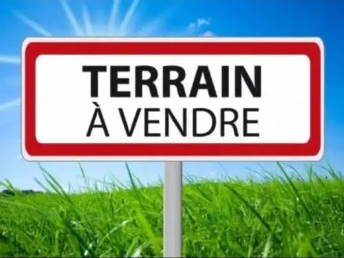 Vente Terrain El Tarf El taref