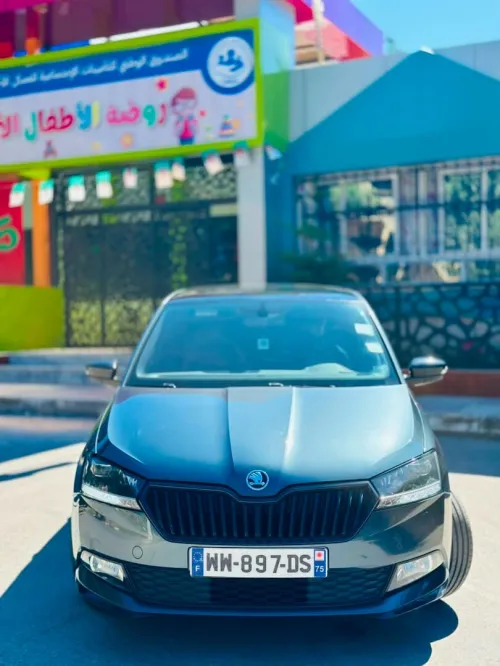 Skoda Fabia 2020 Monte Carlo