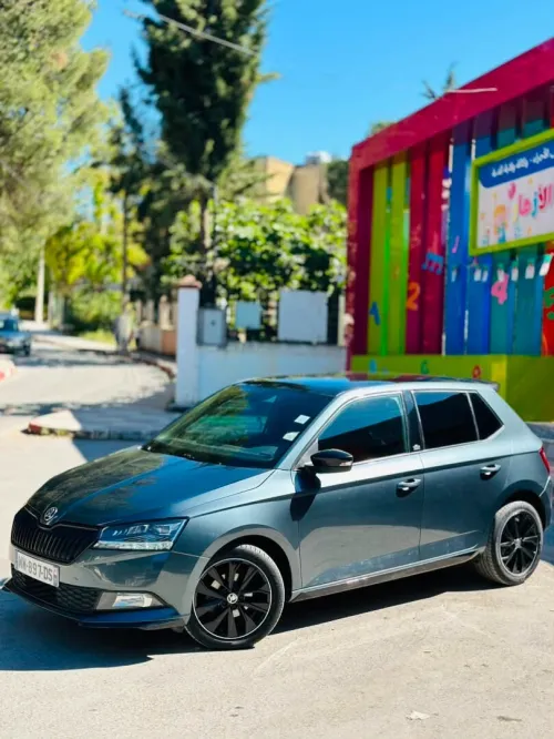 Skoda Fabia 2020 Monte Carlo