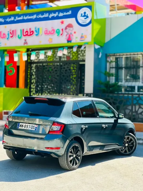 Skoda Fabia 2020 Monte Carlo