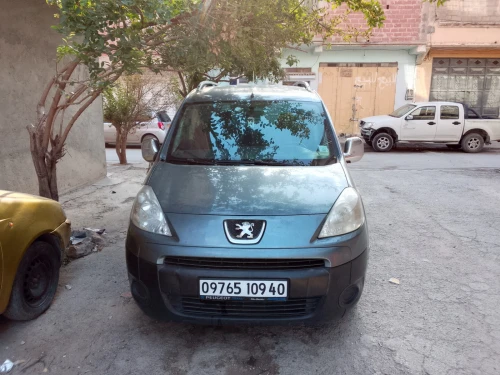Peugeot Partner 2009 Tepee