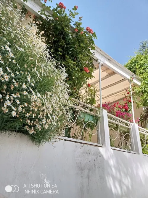 Vente Villa Constantine Constantine