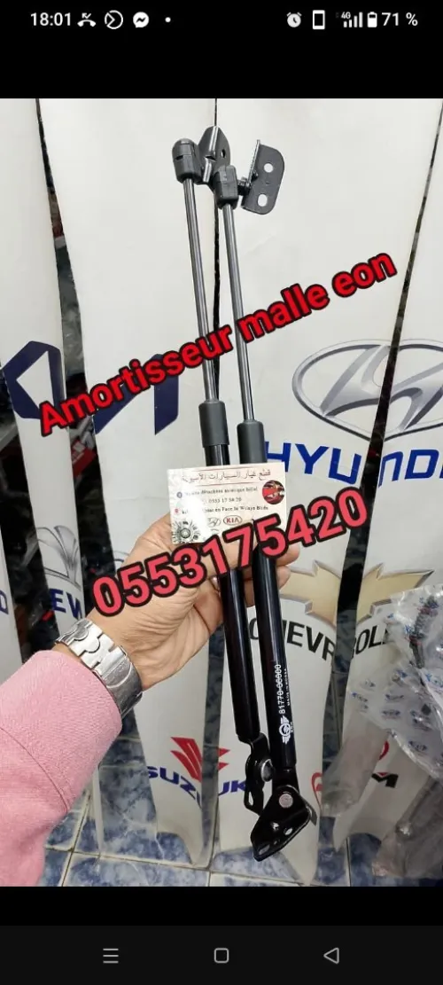 Amortisseur malle eon 