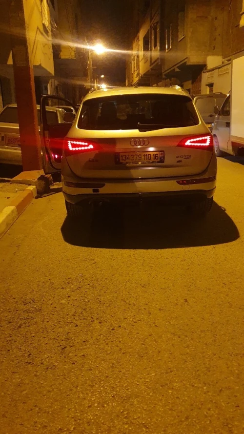 Audi Q5 2010 Off Road Pack Tech