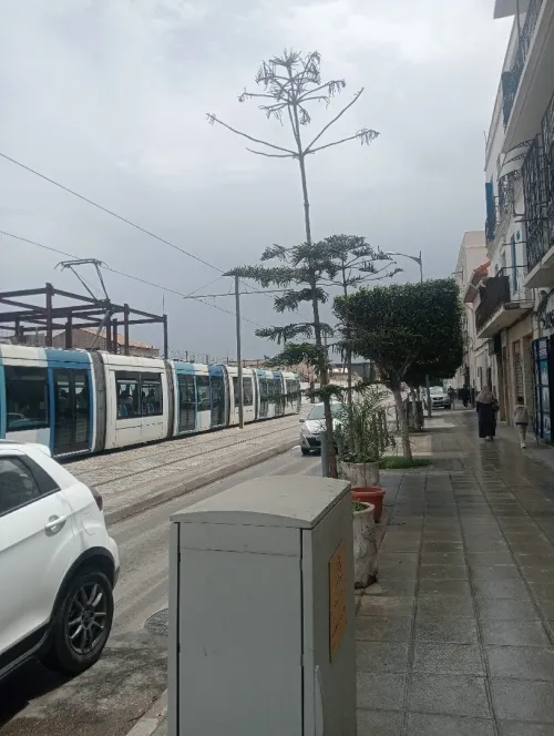 Vente Appartement F2 F3 F4 Alger Hussein dey