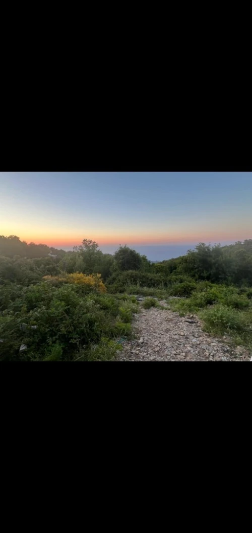 Vente Terrain Annaba Seraidi