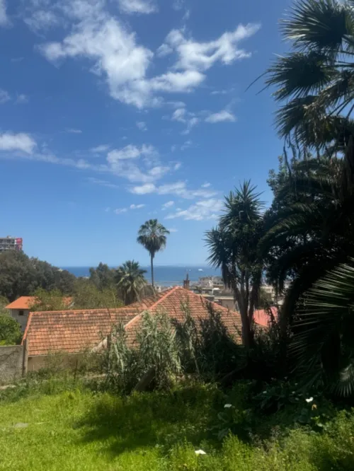 Vente Terrain Alger Alger centre